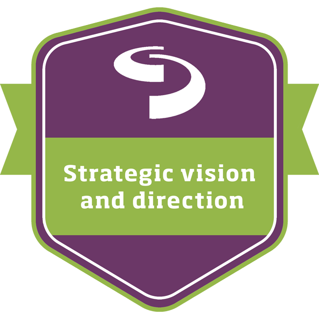 Richard Langton - Leadership-draft-template_strategic-vision